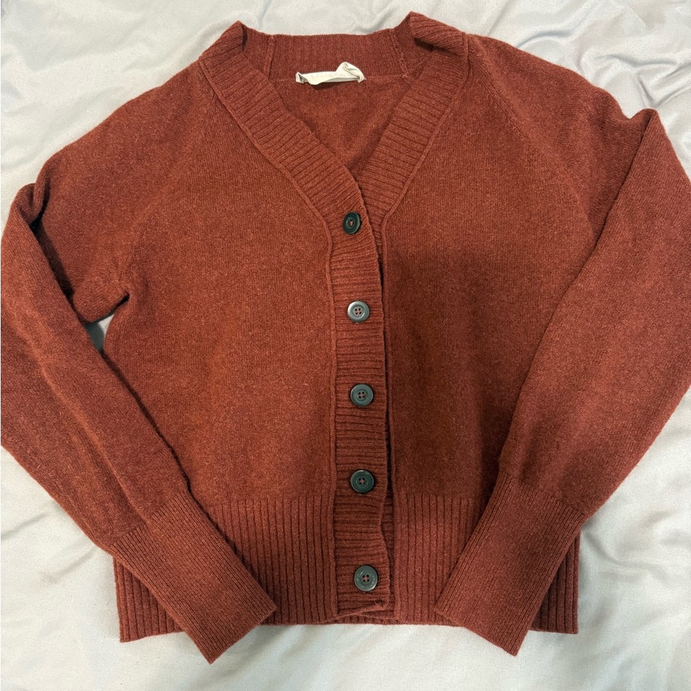 Everlane Rust Cashmere Cardigan Sweater